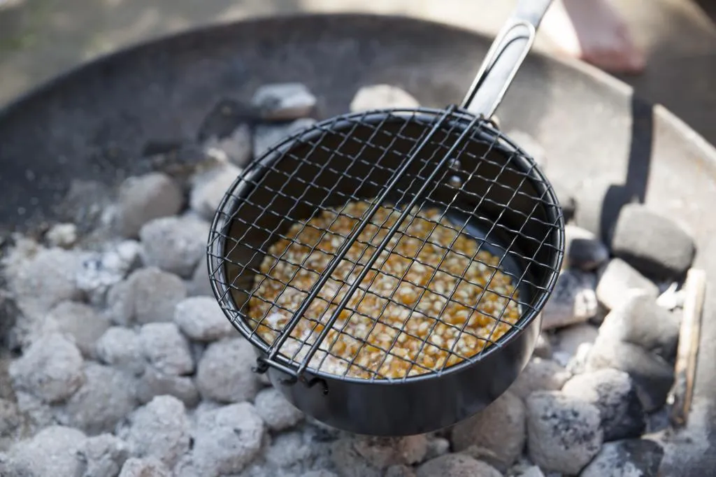 Cuisinez du pop-corn sans brûlures avec la poêle à long manche FF157 - 8