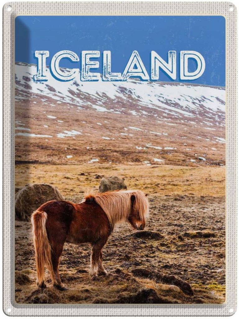 vianmo Blechschild 40x30 cm Iceland Pony icelandic horse Bildmotiv Reisemotiv Abenteuer Reisen Europa Urlaub
