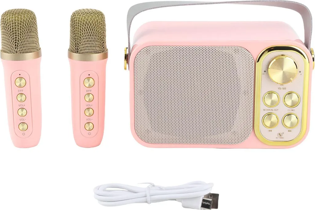 Machine à karaoké avec 2 microphones sans fil et connexion Bluetooth 5.0