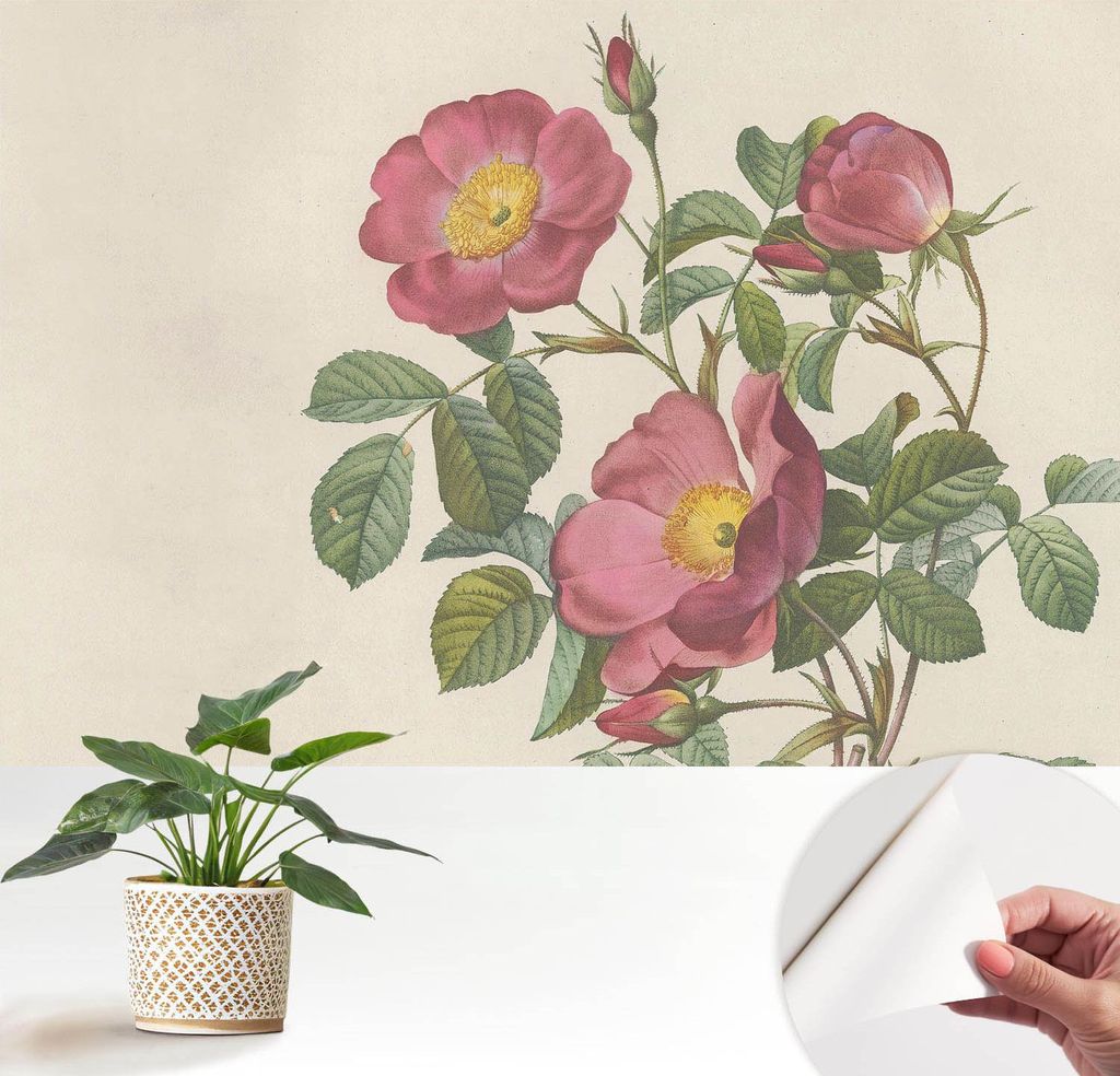 Fototapete selbstklebend - 152x104 cm - Tapete - Wandtapete - Wandbilder - Klebefolie - Dekofolie - Tapete Folie - Wand - Dekoration - Wohnzimmer -...