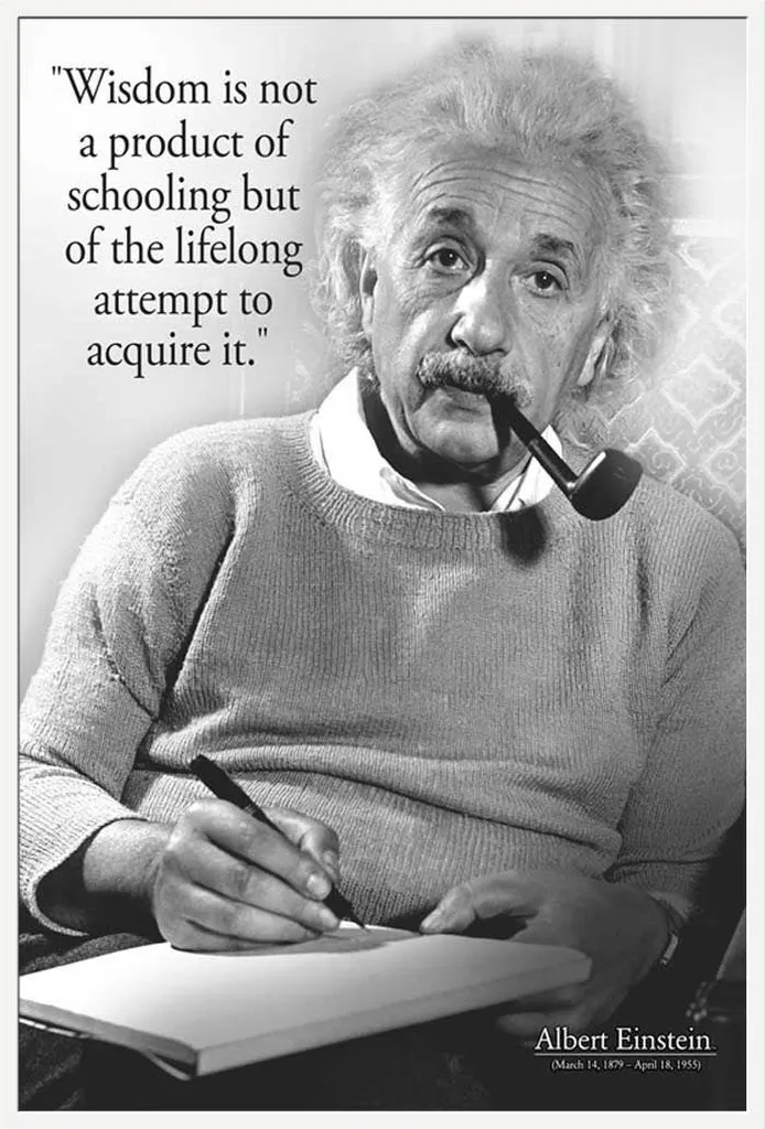 Déco Murale Einstein Citation Sagesse Shinsuke Cadre Blanc pour Bureau