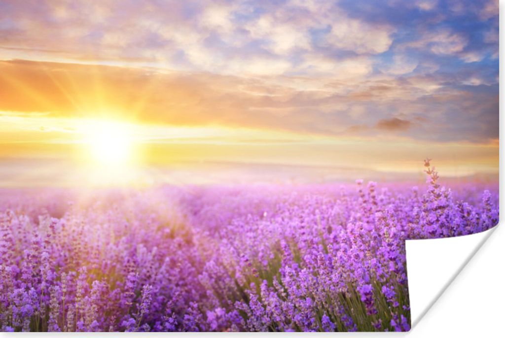 MuchoWow Poster Lavendel - Sonne - Himmel - Natur 90x60 cm - Schlafzimmer