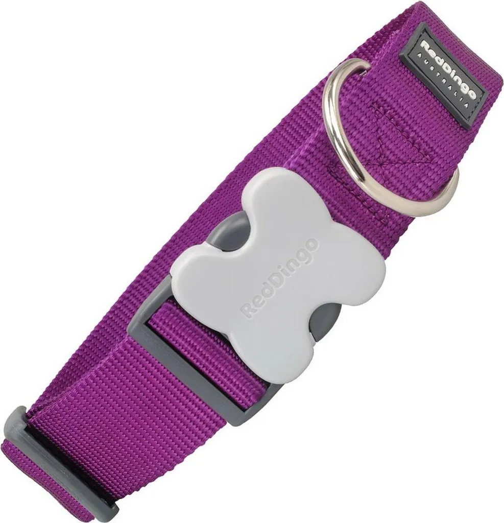 Red Dingo Collare Viola 37-55cm: Comfort e Sicurezza Certificata