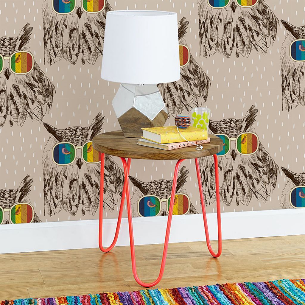 Coloray Fototapete 250x104 cm Vlies-Fototapete - Eulen Fülle Brille Retro für Tiere