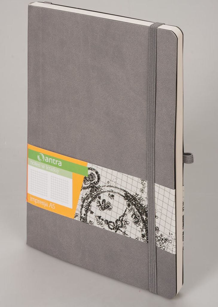 Impresja A5 Notizblock Kariert Grau - Antra, 14.4x20.5, Softcover, Polnisch