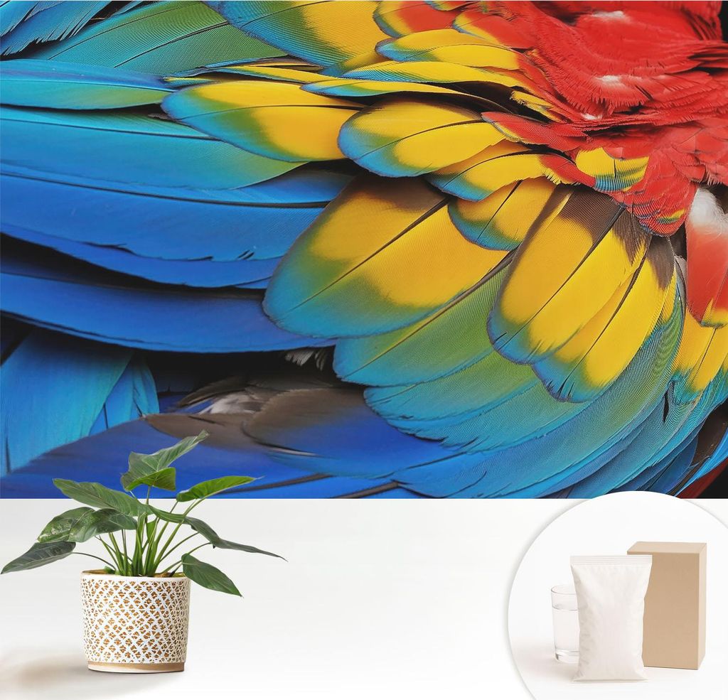 Fototapete - 152x104 cm - Tapete - Wandtapete - Wandbilder - Dekofolie - Tapete Folie - Wand - Dekoration - Wohnzimmer - Regenbogenfedern