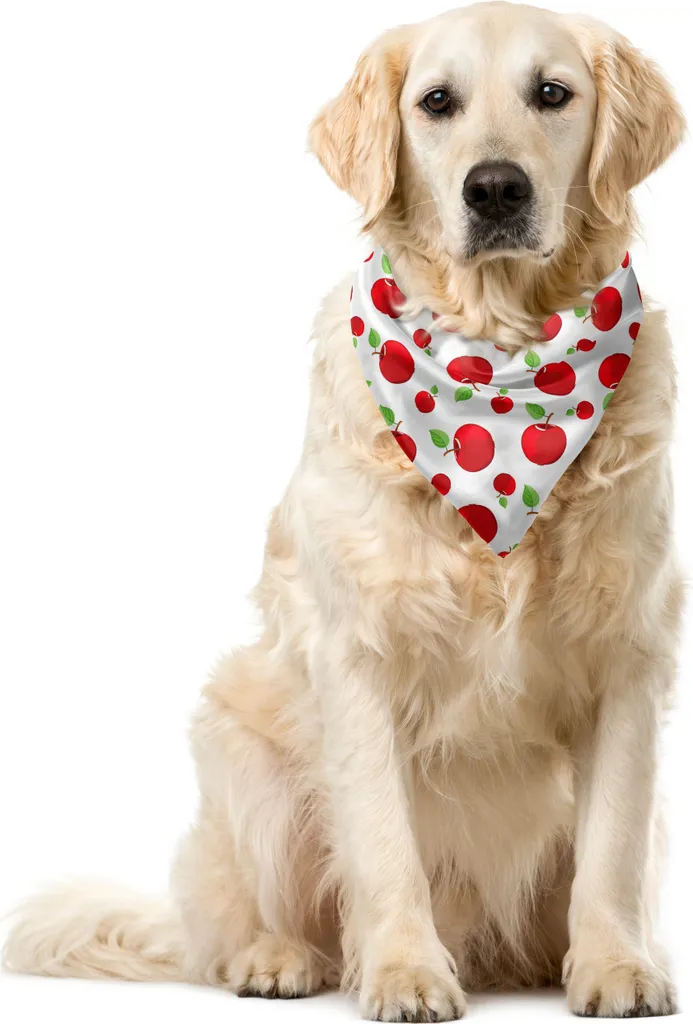 Bandana Mela Vivida ABAKUHAUS | Fai Sorridere il Tuo Cane 40cm