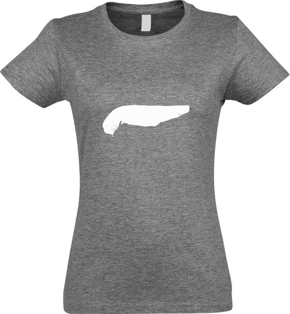 Kiwistar - T-Shirt tailliert - Damen - Graumeliert - Spiekeroog - Deutschland - Insel - mit Motiv Bedruckt - Funshirt Design - Sport - Freizeit - D...