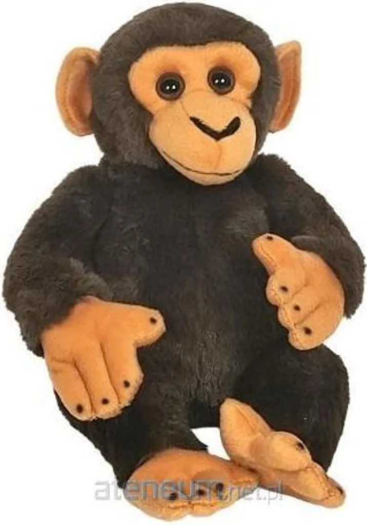 Chimpanzé assis 25cm - Idéal pour cadeau de naissance ou déco jungle