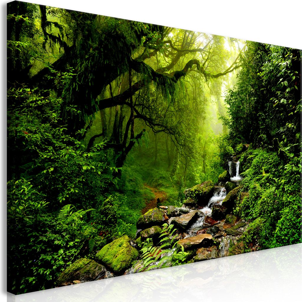 Wandbild Mega XXXL Wald 250x125 cm Einteiliger XXL-Format Kunstdruck zur Selbstmontage Leinwandbilder moderne Bilder DIY Wanddekoration Wohnung Dek...