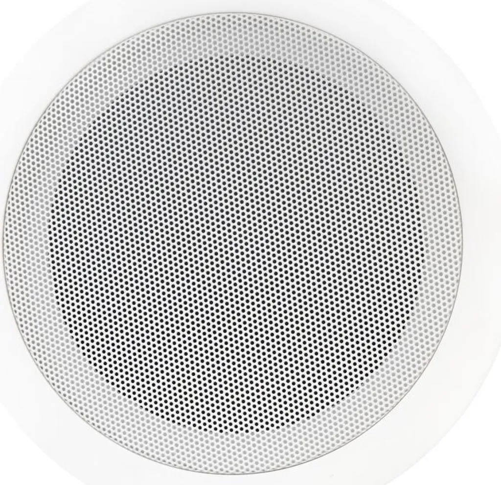 Enceinte de plafond pour magasin et bureau 5 pouces 100V 6W son d'ambiance