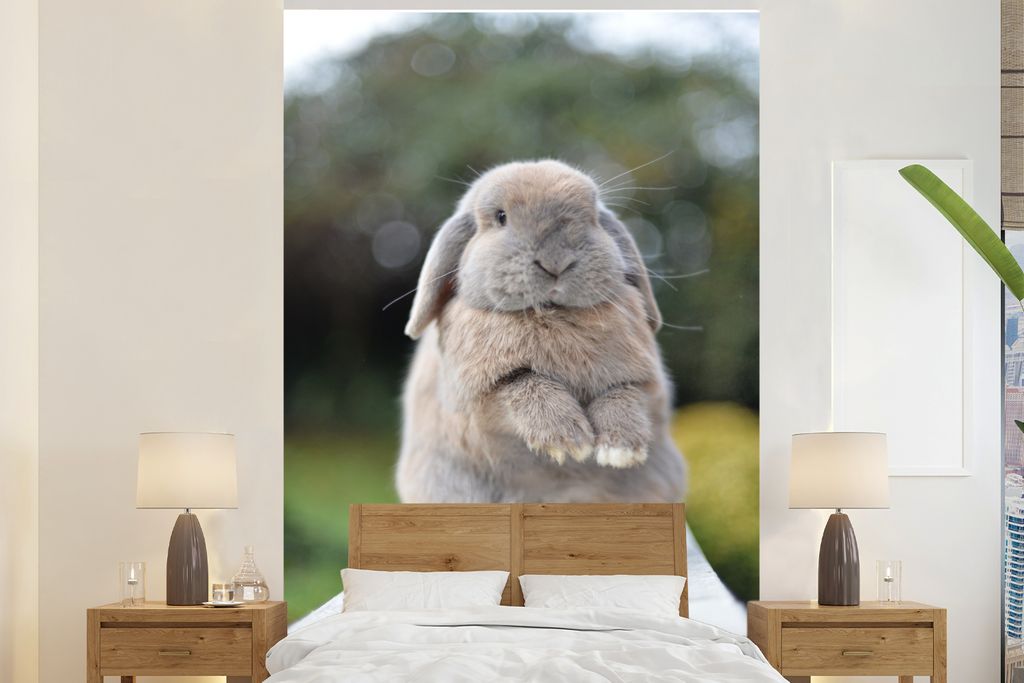 MuchoWow Fototapete für Wohnzimmer oder Schlafzimmer Wandtapete Vinyl Motivtapete Kaninchen - Jung - Tiere - 195x300 cm - Das Hintergrundbild