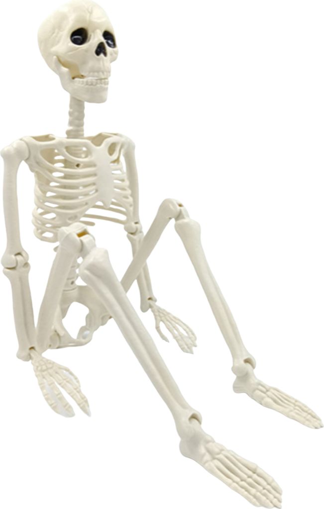 Halloween-Skelett, Ganzkörper, bewegliche Gelenke, realistische menschliche Skelett-Dekorationen für Partys, Spukhäuser, Süßes oder Saures, fe...