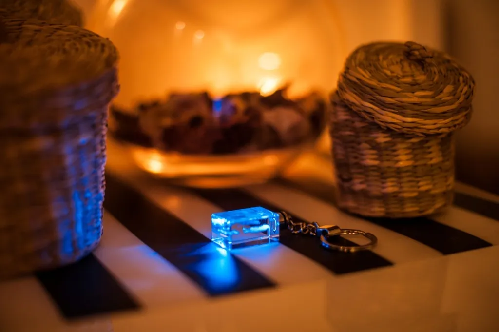 Regalo Unico Cane da Acqua Spagnolo Portachiavi Cristallo LED Art-Dog - 10