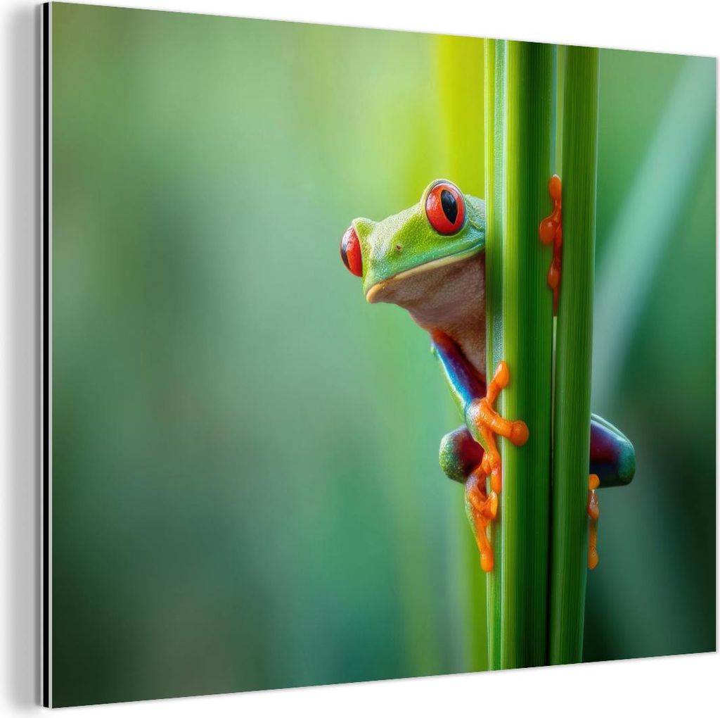 MuchoWow Wanddekoration Metall Metallbild Wandkunst 80x60 cm Grüner Frosch - Neugierig - Gras MuchoWow Aluminium Gemälde - Alubild