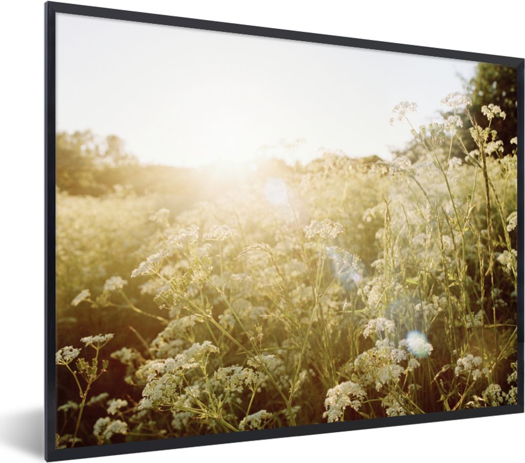 MuchoWow Gerahmtes Poster Blumen - Weiß - Frühling 80x60 cm - Poster mit Schwarzem Bilderrahmen Wandposter Rahmen Foto Bilder - Schwarzem - Mit...