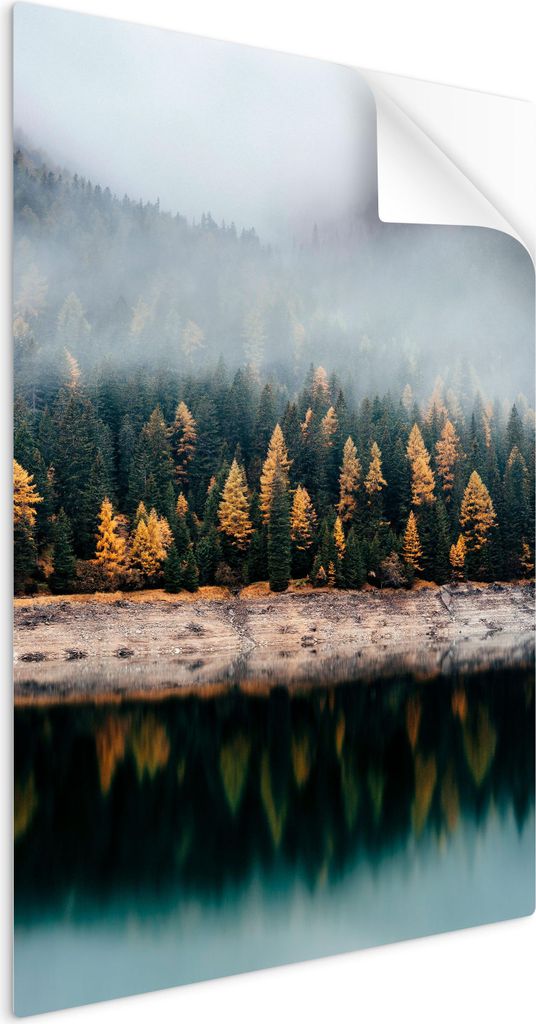 SpaceRebels Bilder Wandsticker 80x120 - Wanddeko Landschaft Wald - Selbstklebende Wandtattoo Wandsticker - Modernes Bild auf PVC-Folie - Wandbild W...