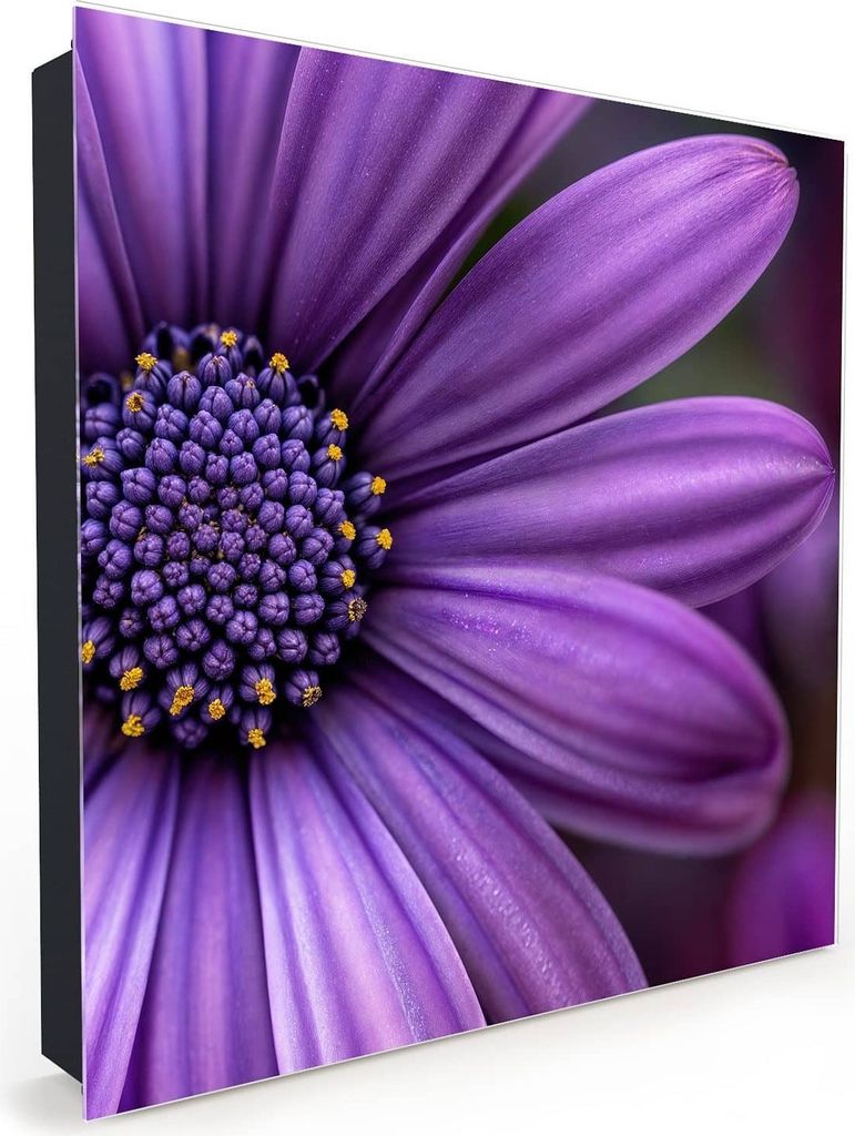Nachbildung-Schlüsselkasten, Magnetpinnwand und Memoboard mit Glasfront Motiv Blume Nahaufnahme