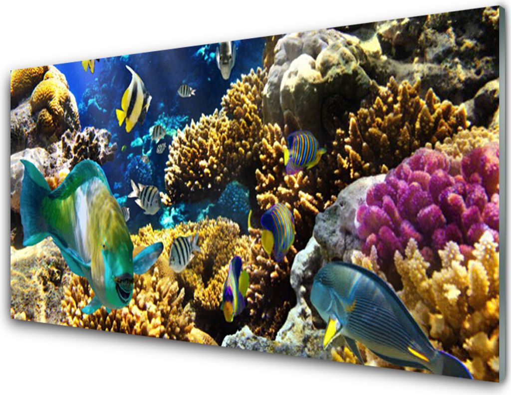 Acrylglasbilder 100x50 Wandbild Druck Korallenriff Natur Produktbild 