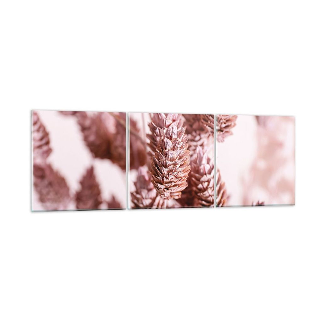 Bilder auf glas - 3 Teile - Getrocknet Blume Eco - 120x40cm - Glasbilder - Wandbilder - Bilder - zum Aufhängen bereit - Wanddekoration aus Glas - ...