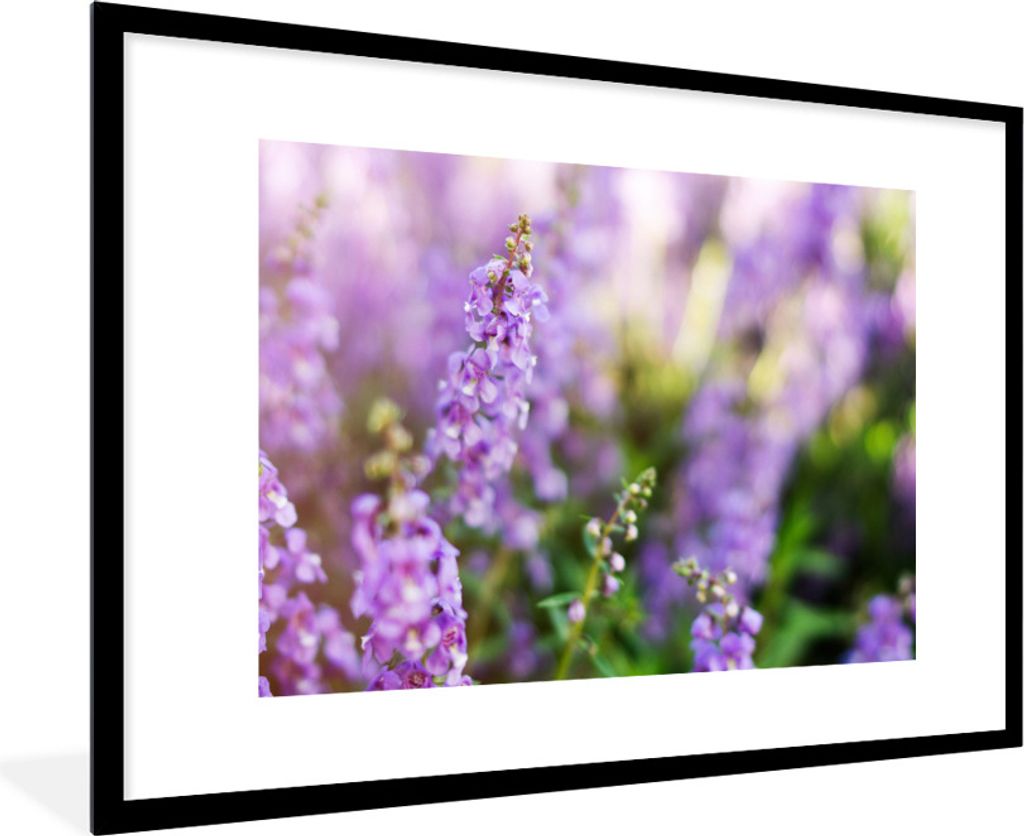 MuchoWow Gerahmtes Poster Nahaufnahme von ganzem Lavendel in einem Feld 90x60 cm - Poster mit Schwarzem Bilderrahmen Wandposter Rahmen Foto Bilde...