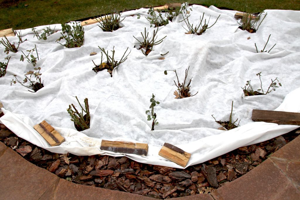 Tela geotextil para jardín, 75 m², ideal para controlar Imagen del producto 