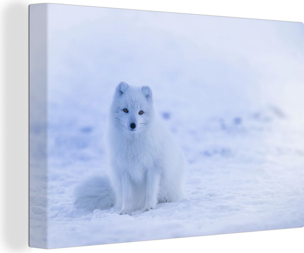 OneMillionCanvasses - Leinwandbilder - 150x100 cm, Fuchs - Schnee - Schneespur, Wandbilder Kunstdruck Wanddekoration