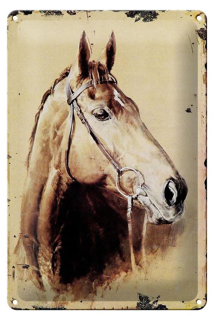 Blechschild Retro 20x30cm Portrait Pferd Kopf