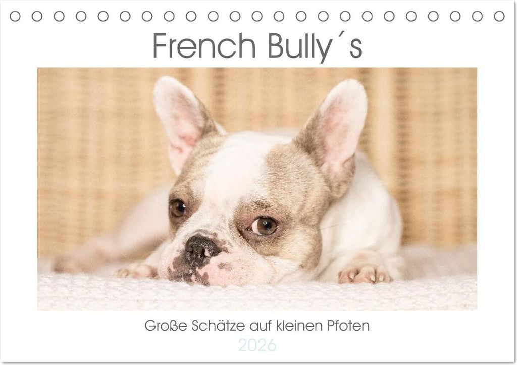 French Bully ́s - Große Schätze auf kleinen Pfoten (Tischkalender 2026 DIN A5 quer), CALVENDO Monatskalender