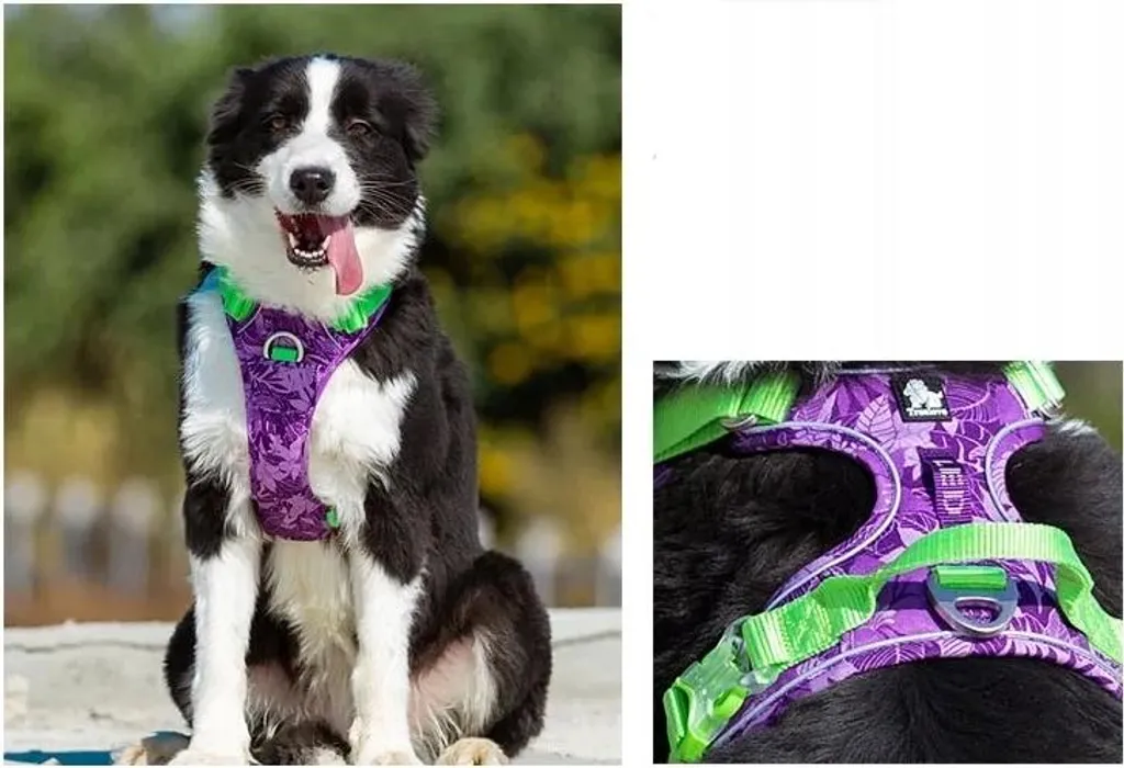 Pettorina Cane Truelove Riflettente M: Equipaggiamento Tecnico No-Pull - 6