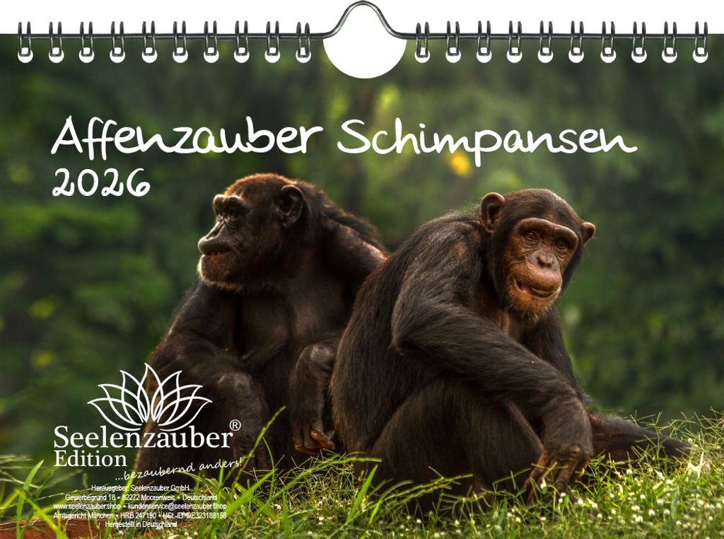 Schimpansenzauber DIN A5 Kalender für 2026 Affen - Seelenzauber
