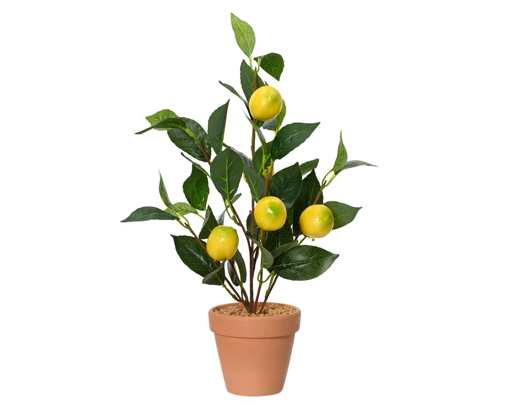 Künstlicher Zitronenbaum h45cm Produktbild 