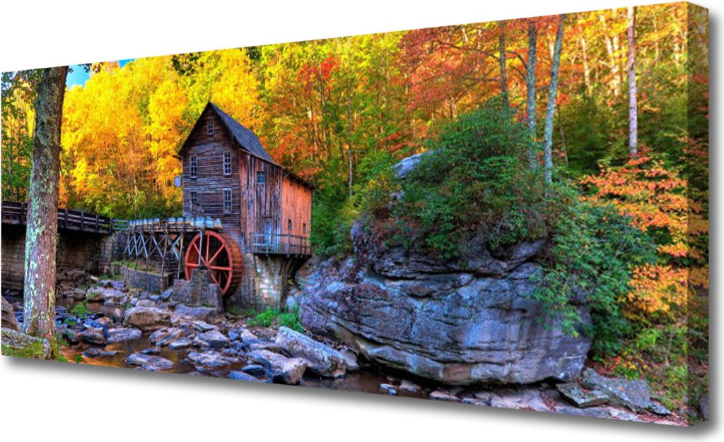 Tulup Leinwand-Bilder 125x50 Wandbild Canvas Kunstdruck Wald Steine Natur