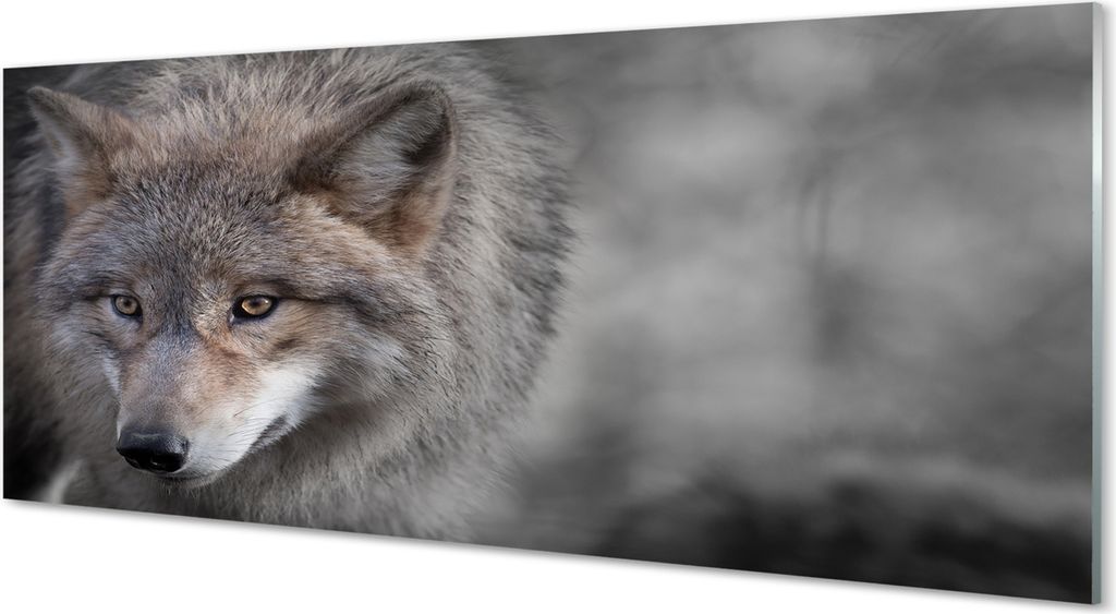 Glasbilder 125x50 Wandkunst Wolf