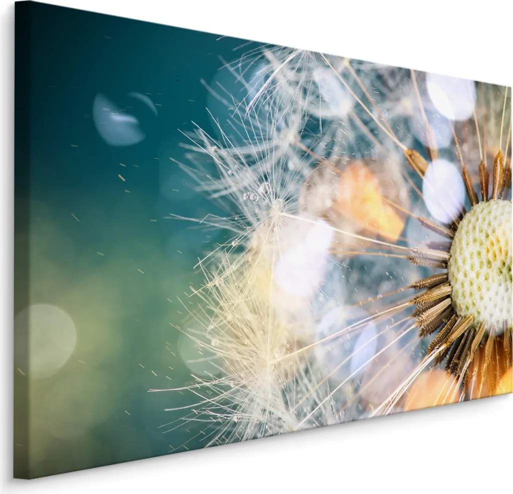 Quadro Fiori Tarassaco 70x50 XXL - Stampa su Tela Natura Emozionale