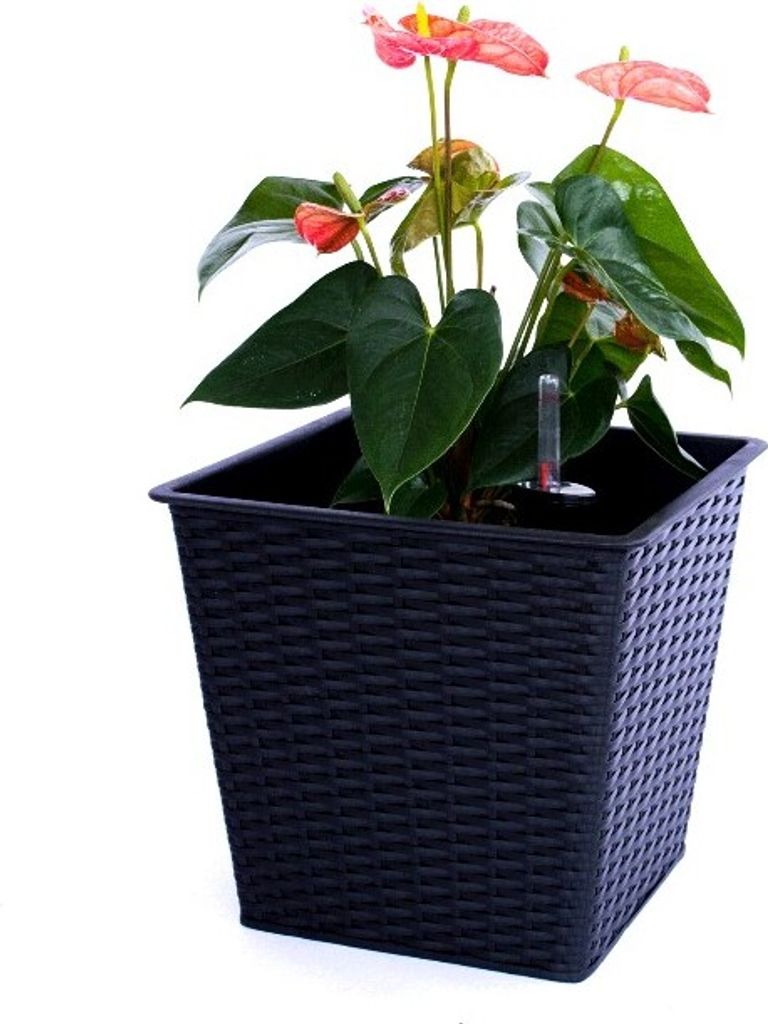 Elegant Einrichten | Pflanzkübel | quadratisch konisch | Polyrattan | 26x26x24cm | schwarz.