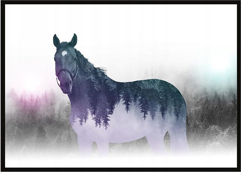 Bild Poster im Rahmen 43x33 cm Pferd P1202