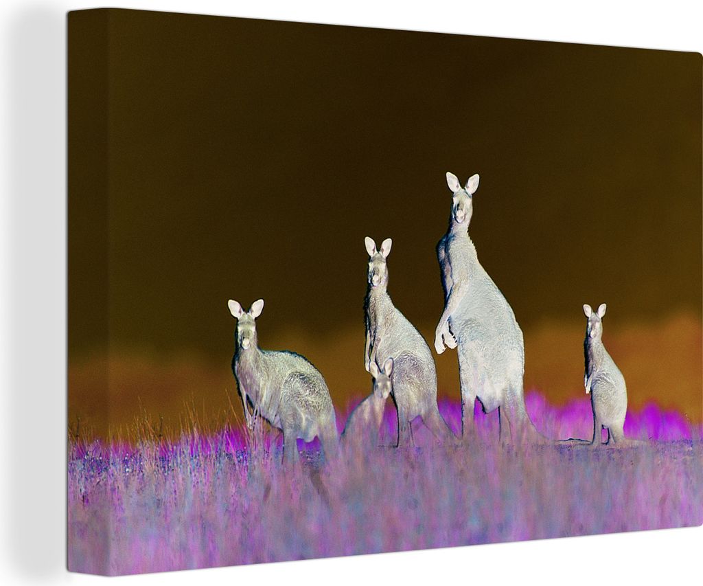 OneMillionCanvasses - Leinwandbilder - 140x90 cm, Kängurus - Tiere - Gras, Wandbilder Kunstdruck Wanddekoration - Foto auf Leinwand - Gemälde a...