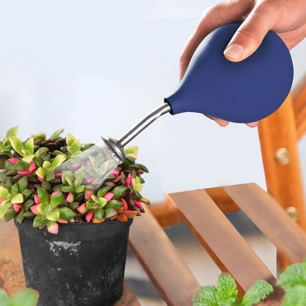 Gießkanne aus Edelstahl – Alternative für kleine Pflanzen – Blumenstecklinge und Setzlinge – Blau