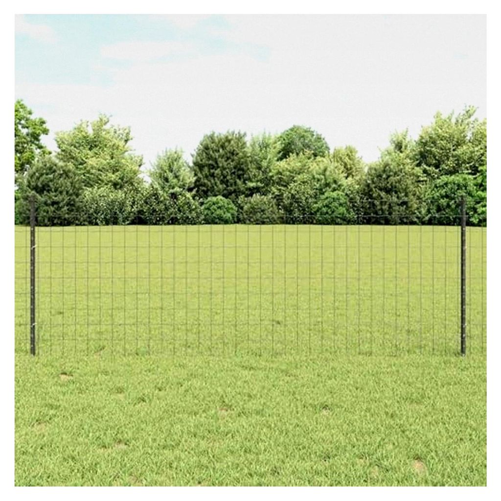Euro Zaun Set 2er Set Grau Stahl 10 x 0,8 m