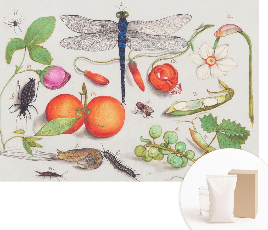 Fototapete - Wandbilder für Wohnzimmer - 208x146 cm - Dekorative Wandfolie - Modernes Design für Wanddekoration - Tapeten für Innenräume - Natu...