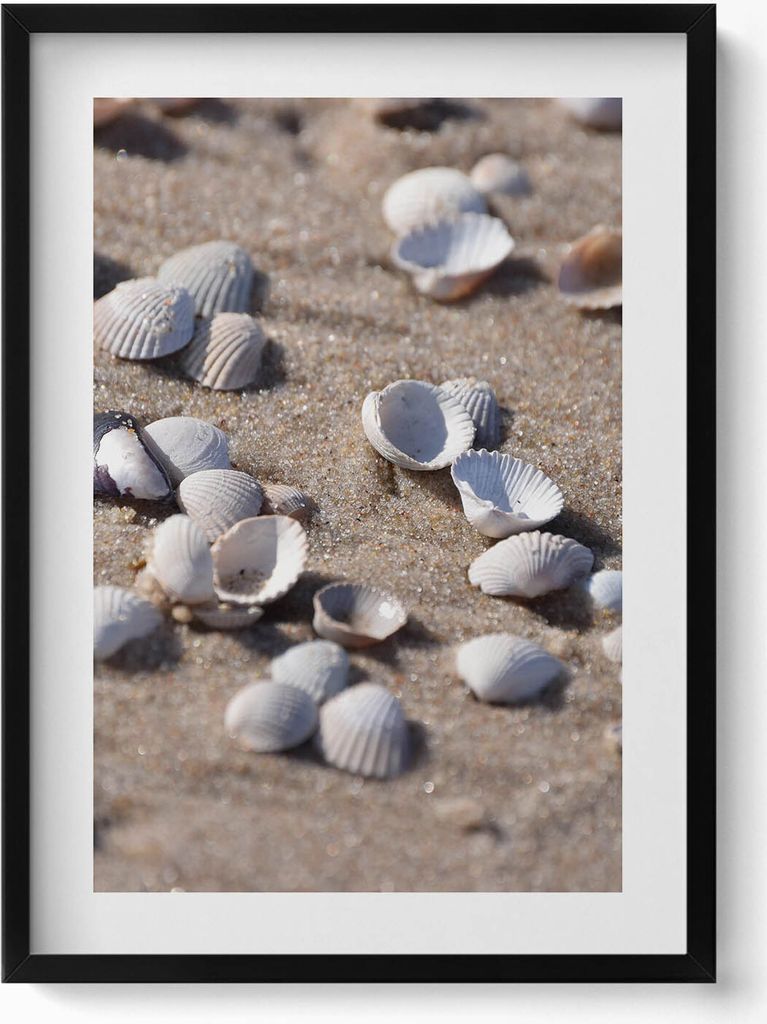 Muscheln am Strand– Wandbild mit Rahmen – Gerahmtes Bild – Wanddekoration – 50x70 cm – Schwarz Rahmen