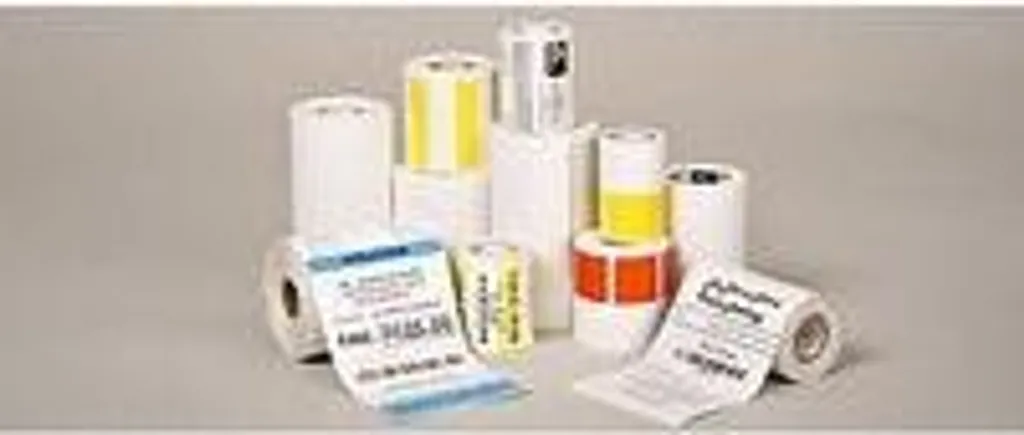 Papier Reçu Zebra 8000D Non Couché 10x31m - Pack de 16 Rouleaux Pro