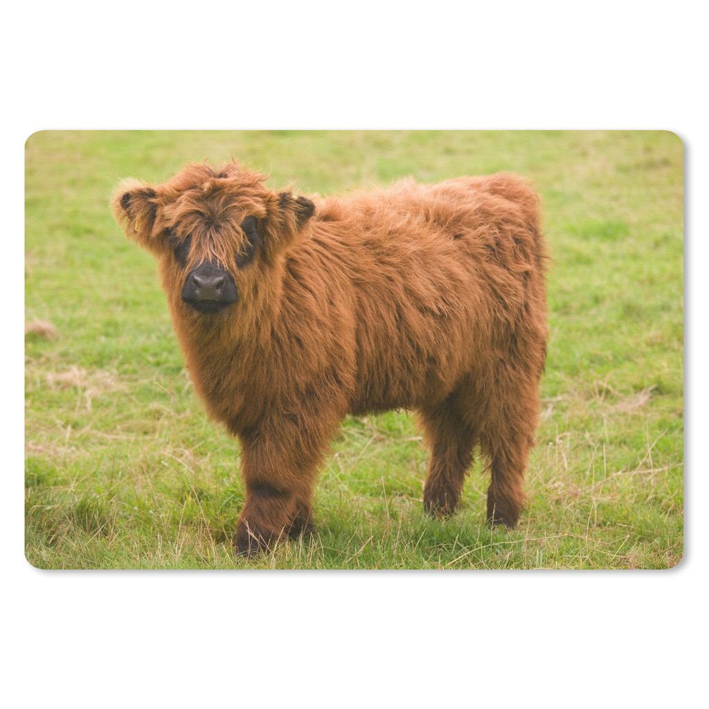 MuchoWow Mauspad Mousepad Schottischer Highlander - Leicht - Mantel 27x18 cm - Mousepads - Maus Mat - Pad - Mausunterlage - Büroartikel - Desk M...