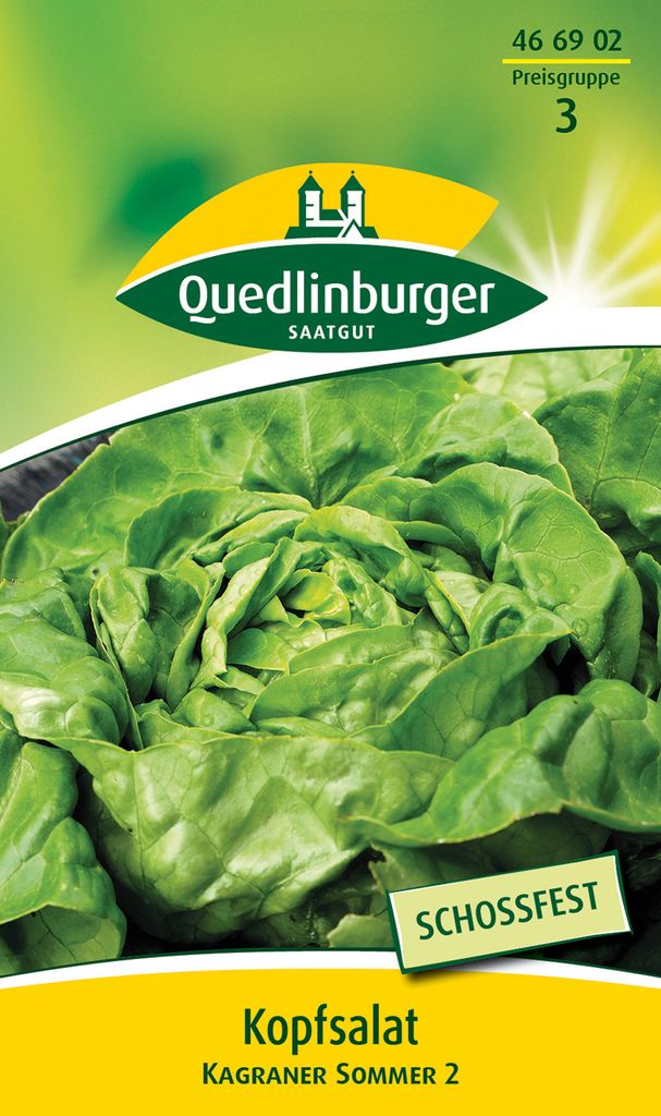 Quedlinburger Saatgut - Kopfsalat Kagraner Sommer 2 - Samen Produktbild 