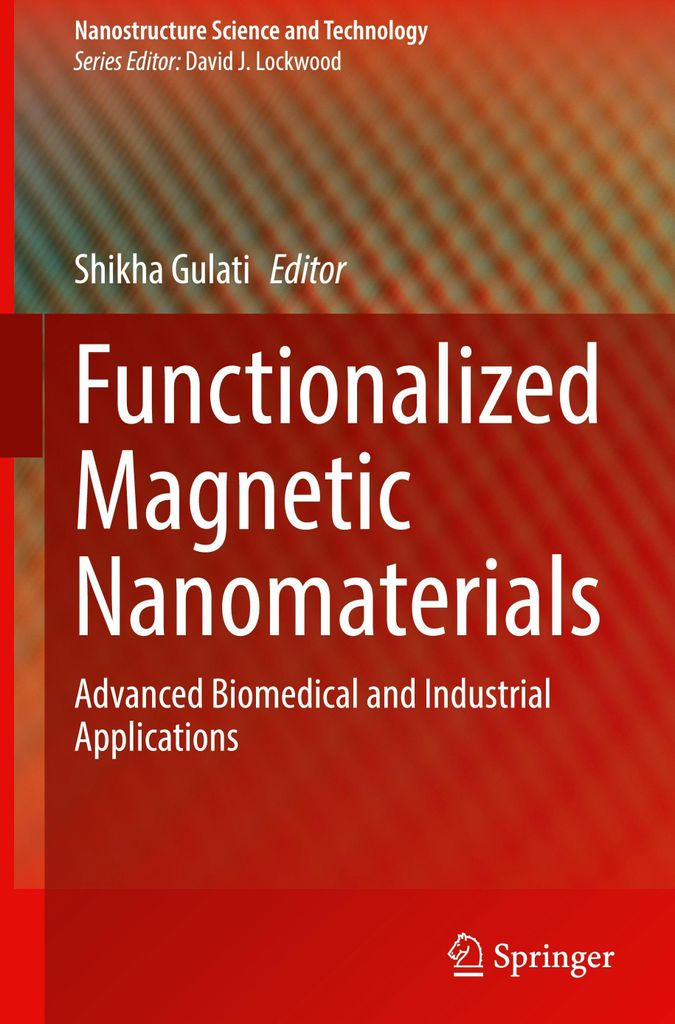 Functionalized Magnetic Nanomaterials