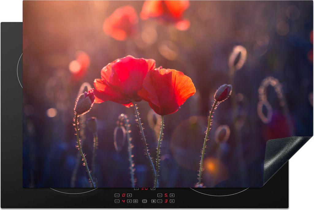 KitchenYeah Herdabdeckplatte Blumen - Mohn - Rot , 81x52cm, Küche Deko, Glaskeramikfeld Herdabdeckung, Abdeckplatte fùr Kochfeld