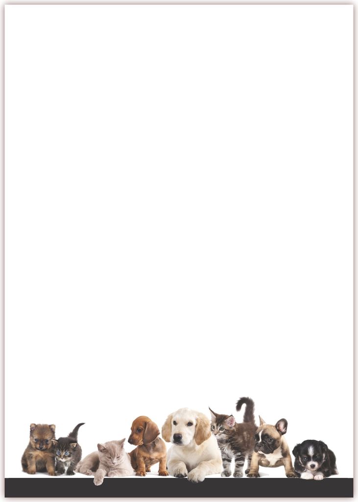 Motiv Briefpapier (Tiere-5042, DIN A4, 100 Blatt). Einseitig bedrucktes Briefpapier, beschreibbar, Motivpapier für alle Drucker/Kopierer geeignet ...