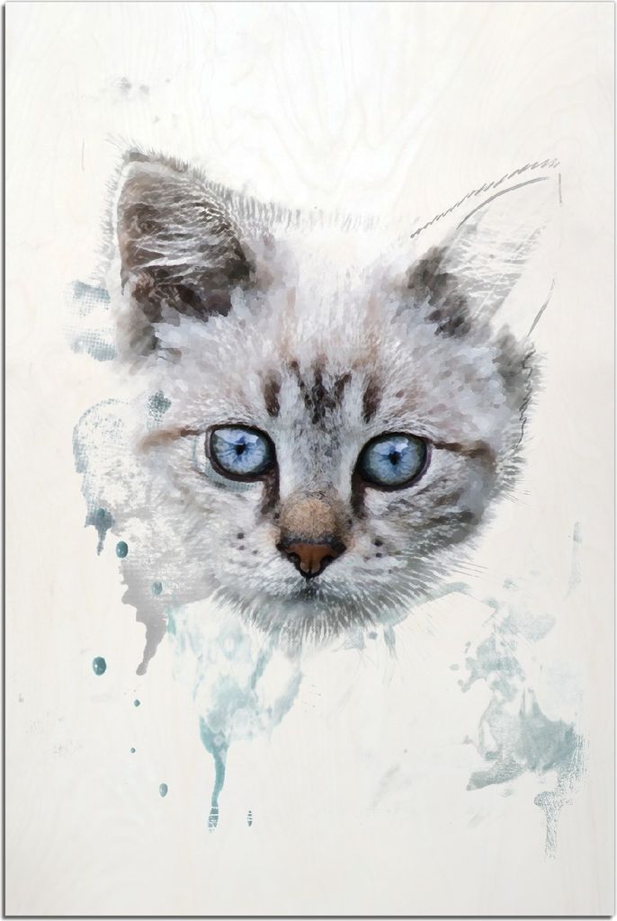 Kunstdrucke Wandbilder Holz in : Brillante Farben, Größe 60 x 90 cm Motiv Katze in Wasserfarben gemalt