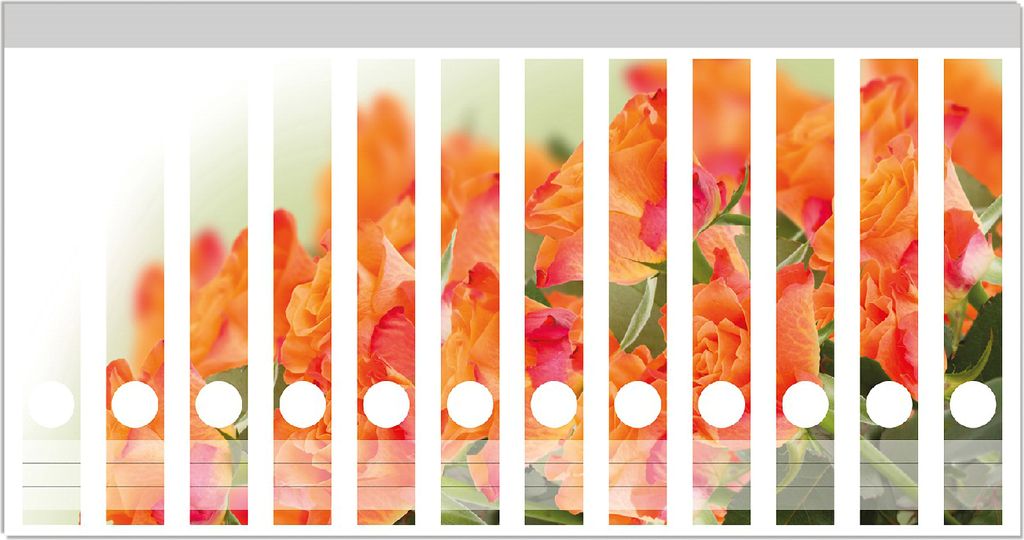 Wallario Ordnerrücken Sticker, selbstklebend für schmale Ordner, 12 Stück, Motiv Orangene Rosenblüten im Strauß